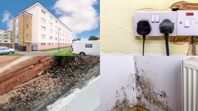 Four images that tell the story of social housing disrepairs. A council estate, a plug socket with crumbling dry wall, a rotting wooden window and mould next to a radiator.